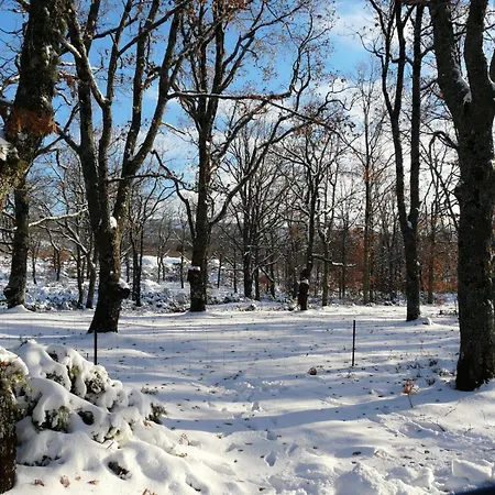 Mar De Nubes Iii Entre El Valle Del Jerte Y La Vera
