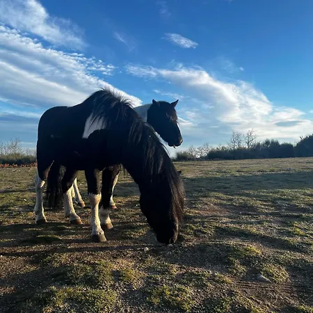 Mar De Nubes Iii Entre El Valle Del Jerte Y La Vera
