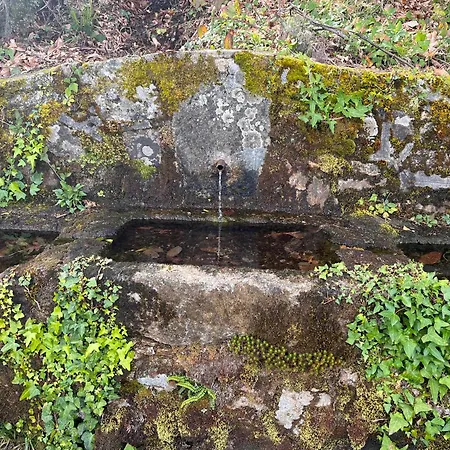 Mar De Nubes Iii Entre El Valle Del Jerte Y La Vera * Piornal