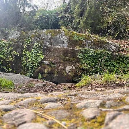 Mar De Nubes Iii Entre El Valle Del Jerte Y La Vera דירה *