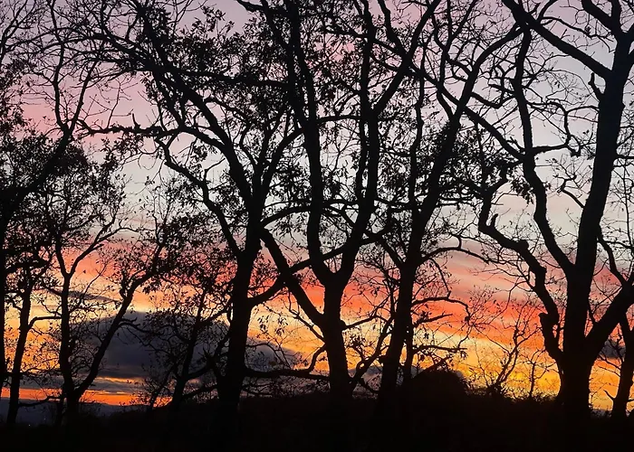 Apartment Mar De Nubes Iii Entre El Valle Del Jerte Y La Vera Piornal