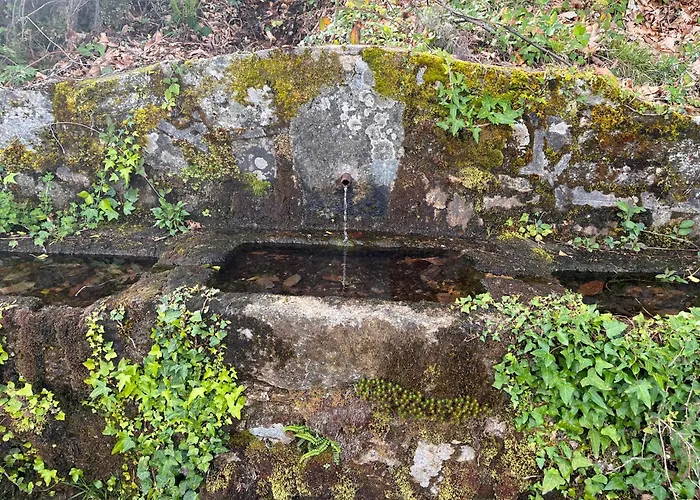 Mar De Nubes Iii Entre El Valle Del Jerte Y La Vera * Piornal