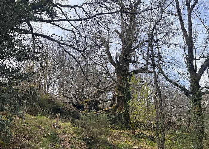 Apartment Mar De Nubes Iii Entre El Valle Del Jerte Y La Vera